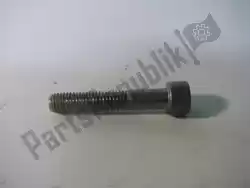 Here you can order the screw from Piaggio Group, with part number 583480: