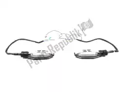 Here you can order the flashing light, left and right from Yamaha, with part number YMEFLB2F1000: