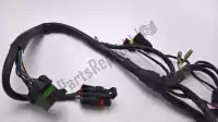 51011481A, Ducati, arnés de cables Ducati 996 748 S R Sport Production, Usado