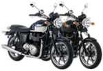 Altri per il Triumph Bonneville 865 SE EFI - 2009