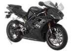 Triumph Daytona 675  - 2008 | Tutte le ricambi