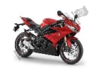 Alarmsysteem voor de Triumph Daytona 675  - 2013