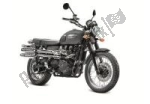 Options and accessories for the Triumph Scrambler 865 EFI - 2010