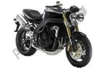 Toutes les pièces d'origine et de rechange pour votre Triumph Speed Triple VIN: 210445-461331 1050 2005 - 2010.