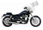 Options et accessoires pour le Triumph Thunderbird 1600  - 2010