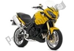 Triumph Tiger 1050  - 2011 | Todas las piezas