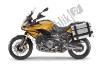 Toutes les pièces d'origine et de rechange pour votre Aprilia Caponord 1200 Rally 2016.