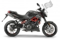 All original and replacement parts for your Aprilia Shiver 900 ABS 2022.