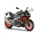 Aprilia Tuono 1100 Factory V4  - 2019 | Todas las piezas