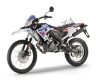 Todas as peças originais e de reposição para seu Gilera RCR 50 2019.