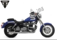 Todas las piezas originales y de repuesto para su Triumph America Carburator 790 2001 - 2007.