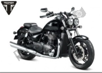 All original and replacement parts for your Triumph Thunderbird Night/storm 1699 2011 - 2017.
