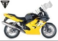 Todas as peças originais e de reposição para seu Triumph TT 600 599 2000 - 2003.