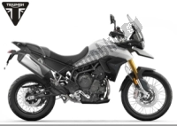 Todas as peças originais e de reposição para seu Triumph Tiger 900 Rally 888 2020 - 2024.