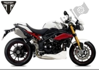 All original and replacement parts for your Triumph Speed Triple R UP TO VIN 735436 1050 2012 - 2016.