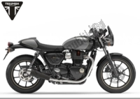 Todas las piezas originales y de repuesto para su Triumph Street CUP 900 2017 - 2020.