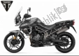 All original and replacement parts for your Triumph Tiger XRT From VIN 855532 1215 2018 - 2021.