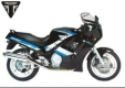 All original and replacement parts for your Triumph Daytona 750 & 1000 748 1990 - 1993.