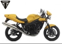 Tutte le parti originali e di ricambio per il tuo Triumph Speed Four 599 2002 - 2006.