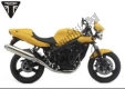 All original and replacement parts for your Triumph Speed Four 599 2002 - 2006.