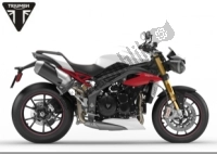 Tutte le parti originali e di ricambio per il tuo Triumph Speed Triple R From VIN 735437 1050 2016 - 2018.