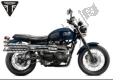 All original and replacement parts for your Triumph Scrambler EFI UP TO 2015 865 2008 - 2016.