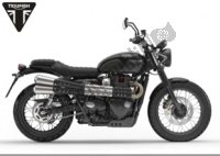 Todas las piezas originales y de repuesto para su Triumph Street Scrambler From VIN 914448 900 2019 - 2021.