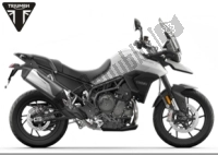 Toutes les pièces d'origine et de rechange pour votre Triumph Tiger 900 V5 888 2020 - 2024.