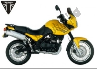 Todas las piezas originales y de repuesto para su Triumph Tiger 885I T 709 1999 - 2001.