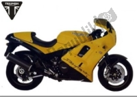Toutes les pièces d'origine et de rechange pour votre Triumph Daytona 900 & 1200 885 1992 - 1997.