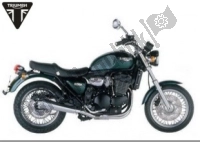 Tutte le parti originali e di ricambio per il tuo Triumph Legend TT 885 1998 - 2001.