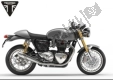 All original and replacement parts for your Triumph Thruxton R 1200 2016 - 2020.