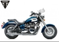Todas as peças originais e de reposição para seu Triumph America EFI From VIN 468390 865 2008 - 2017.