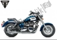 Todas las piezas originales y de repuesto para su Triumph America EFI From VIN 468390 865 2008 - 2017.