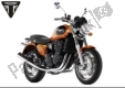 All original and replacement parts for your Triumph Thunderbird Sport 885 1997 - 2000.