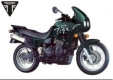 Wszystkie oryginalne i zamienne części do Twojego Triumph Tiger T 400 Carbs 885 1993 - 1998.