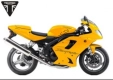 Wszystkie oryginalne i zamienne części do Twojego Triumph Daytona 955I From VIN 132513 1997 - 2006.