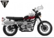 Todas as peças originais e de reposição para seu Triumph Scrambler Carburator UP TO 2007 865 2006 - 2008.