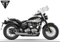 All original and replacement parts for your Triumph Speedmaster 1200 From AC 1201 2022 - 2024.