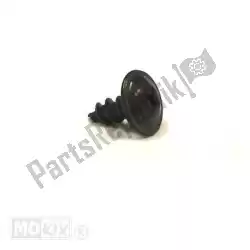 Here you can order the metal screw m5x12 rieju from Mokix, with part number 00004601168: