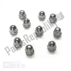 Here you can order the nut m 6 x 1. 00 cap nut chrome 10pcs from Mokix, with part number 10193: