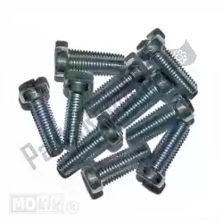 Here you can order the metal screw m5x16 elvz (10) from Mokix, with part number 10277: