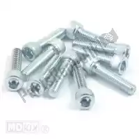 10290, Mokix, Parafuso allen m6x25 elvz 10 peças INBUS-BOUT M6x 25 ELVZ 10stuks<hr>INBUS-SCHRAUBE M6x  25 ZINK 10st<hr>VIS BTR M6x25 ELVZ          10pcs<hr>HEXAGON SCREW M6x25 GALVAN 10pcs, Novo