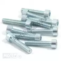 10291, Mokix, tornillo allen m6x30 elvz 10 piezas INBUS-BOUT M6x 30 ELVZ 10stuks<hr>INBUS-SCHRAUBE M6x  30 ZINK 10st<hr>VIS BTR M6x30 ELVZ          10pp<hr>HEXAGON SCREW M6x30 GALVAN 10pc, Nuevo