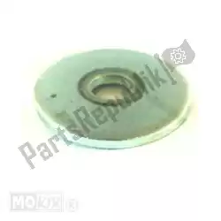 Here you can order the washer from Piaggio Group, with part number 122781: