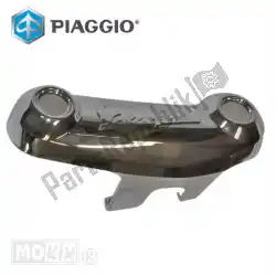 Here you can order the swinging arm cover from Piaggio Group, with part number 1C000835: