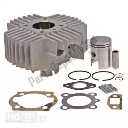 Here you can order the spark plug from NGK, with part number 2078: