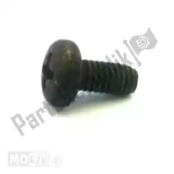 Here you can order the self-tapping screw from Piaggio Group, with part number 256756: