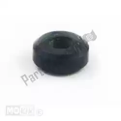 Here you can order the drift from Piaggio Group, with part number 266841: