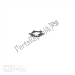 Here you can order the ring from Piaggio Group, with part number 287223: